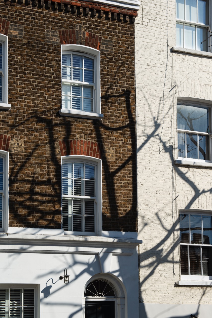 Architectural facade of attached townhouses with soft natural shadows creating an aesthetic, minimal composition.